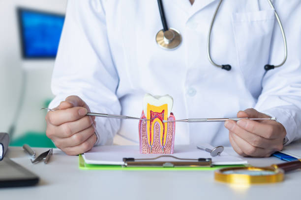 Best Pediatric Emergency Dentist in Third Lake, IL